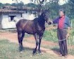 Criadero en Guasipungo